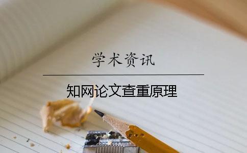 知网论文查重原理