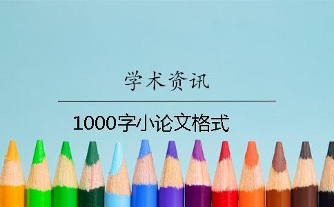 1000字小论文格式